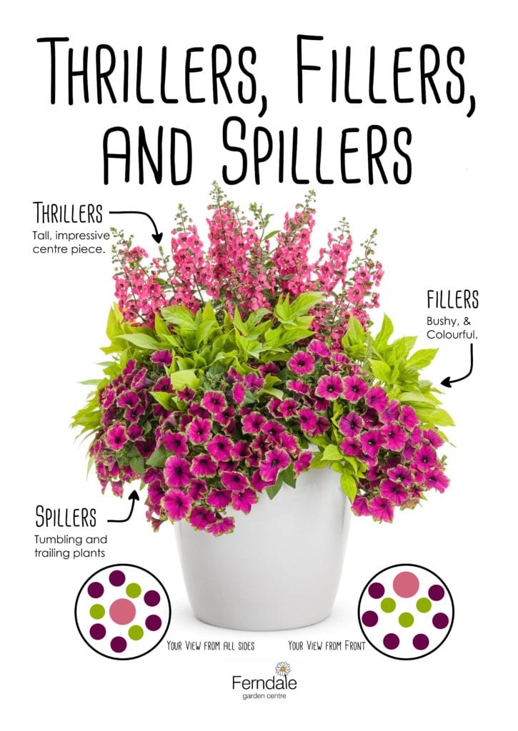 thrillers-fillers-and-spillers-725x1024
