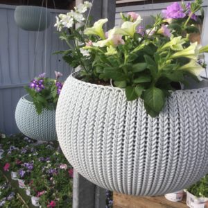 Patio Gardening