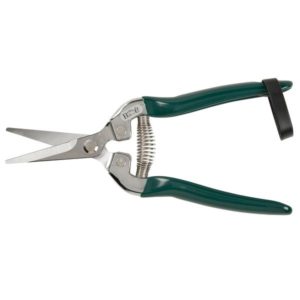 Garden Gifts