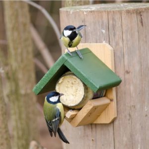 Bird Feeders & Feeding Stations