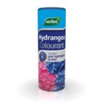 Buy Westland Hydrangea Colourant Online