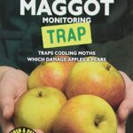 Buy Apple Maggot Monitoring Trap Online