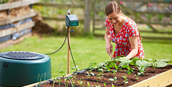 Buy Flopro Solar irrigation Online