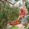Buy Grow Bag Waterer Online