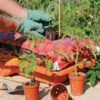 Buy Grow Bag Waterer Online