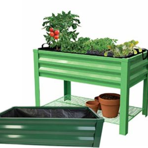 Grow your own