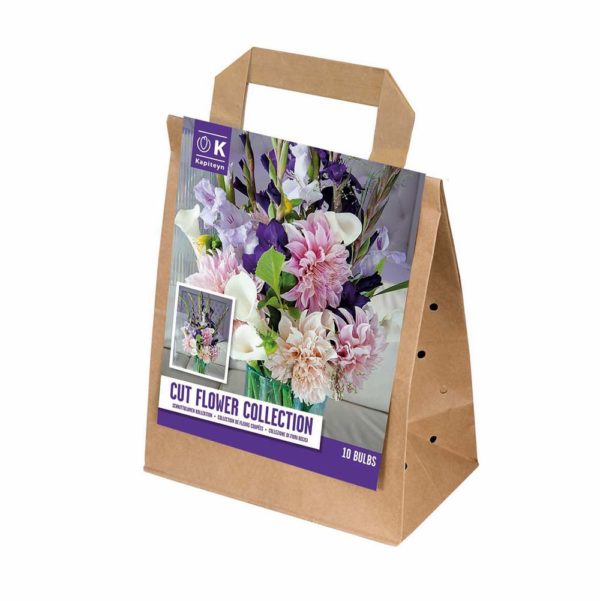 Buy Cut Flower Collection Online