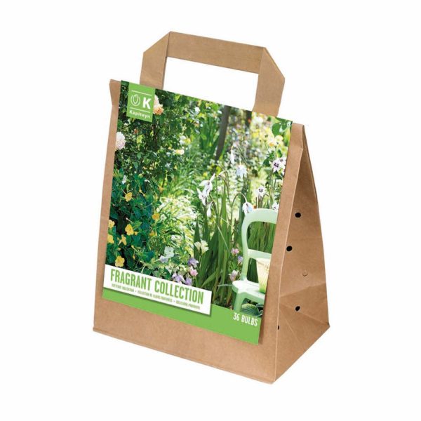 Buy Fragrant Collection Online