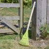 Buy Childrens Sweeping Brush Online