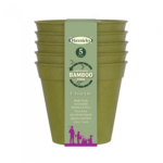 Buy Bamboo Pot 6 inch Online