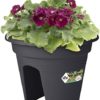 Buy Green Basics Flower Bridge Online