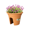Buy Green Basics Flower Bridge Online