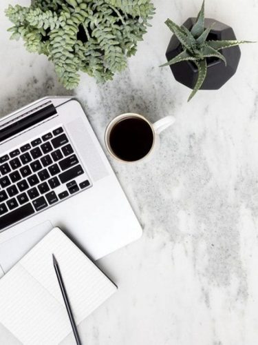 5 of the best desk plants