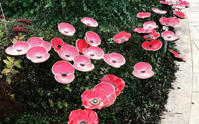 Help Raise money for Royal British Legion