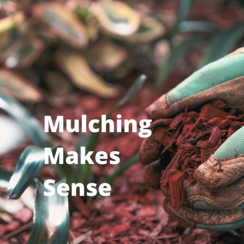 Mulching Makes Sense (1)