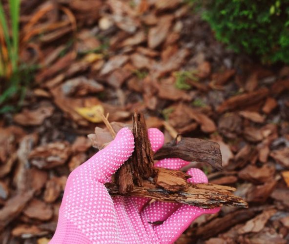 Mulching makes sense