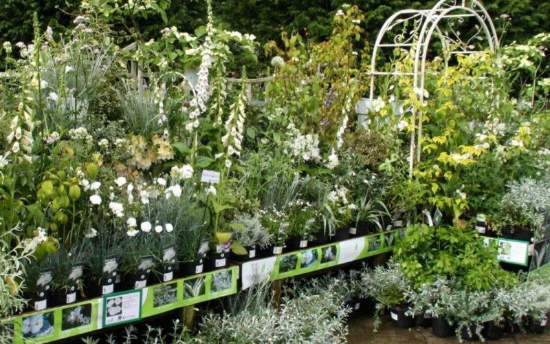 Plastic-Bottles-Pots-and-More