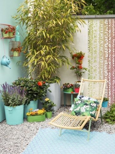 Spring Trend – its about to explode