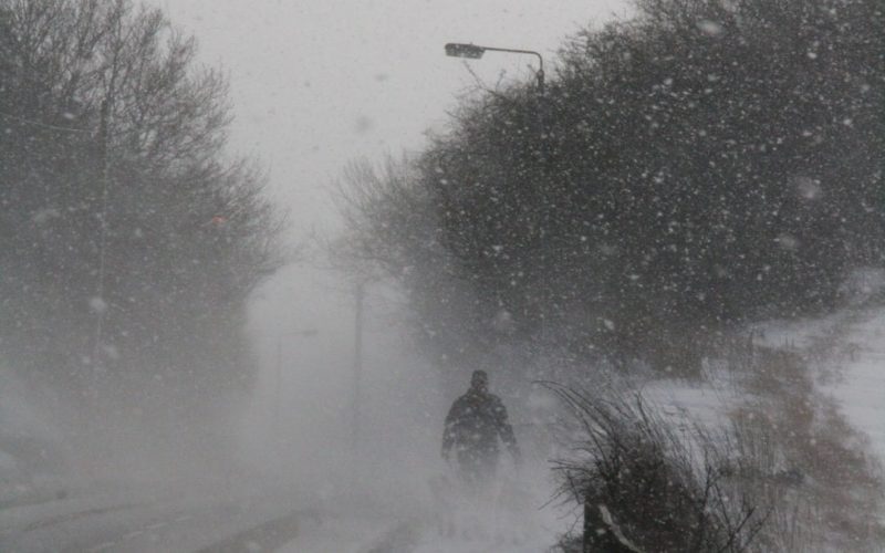 The Beast from the East