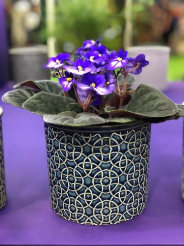 african violet pot cover