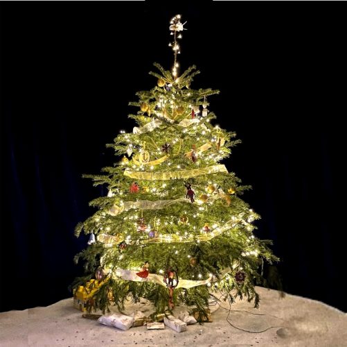 claires tree