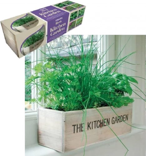 kitchen-herb-kit-scaled